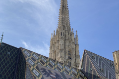 IMG_3651