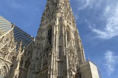 IMG_3659