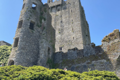 IMG_2625