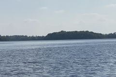 IMG_1262