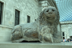 IMG_9657