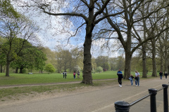 IMG_9780