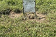 IMG_1433