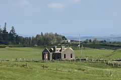 IMG_1447