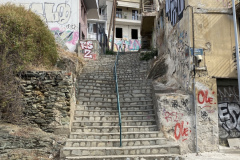 IMG_2589