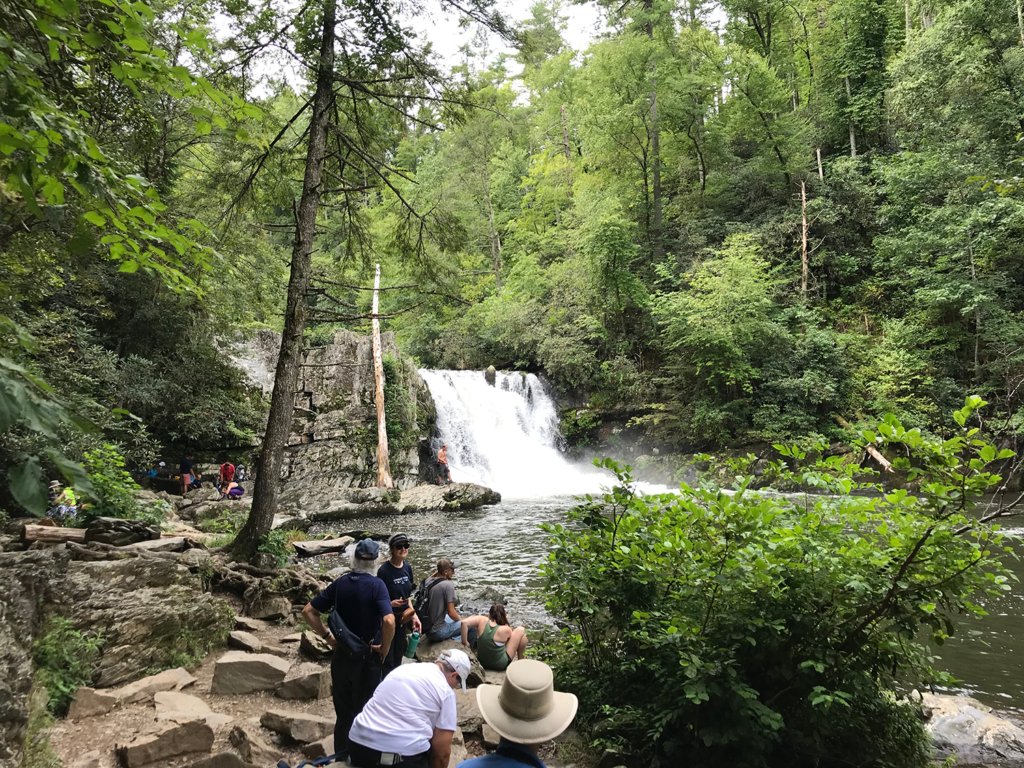 Abrams Falls Hike